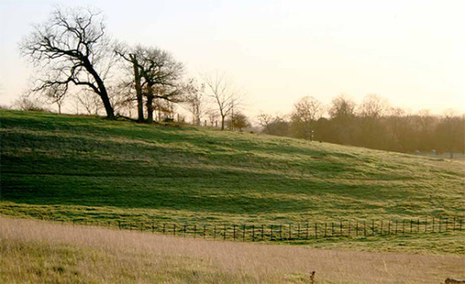 Example photo: Terraces at the edges of cultivated areas can be difficult to identify