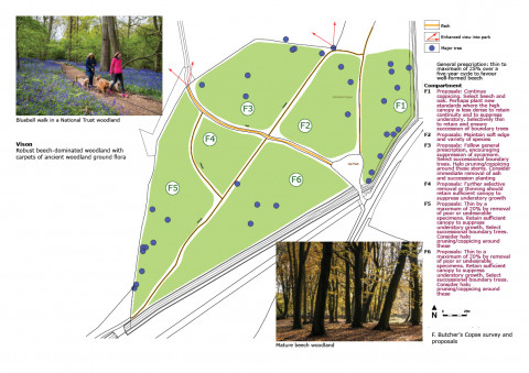 Slindon Park example survey and proposals