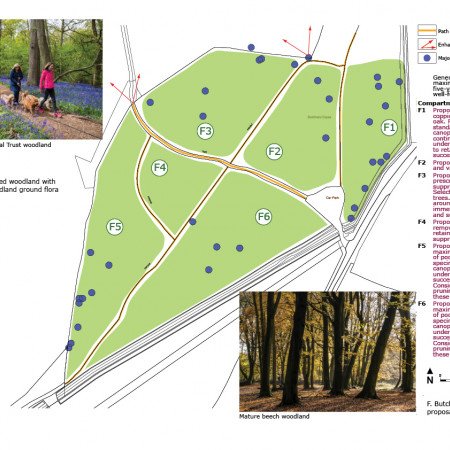 Slindon Park example survey and proposals